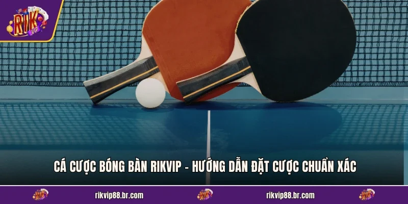 Cá Cược Bóng Bàn RIKVIP - Hướng Dẫn Đặt Cược Chuẩn Xác