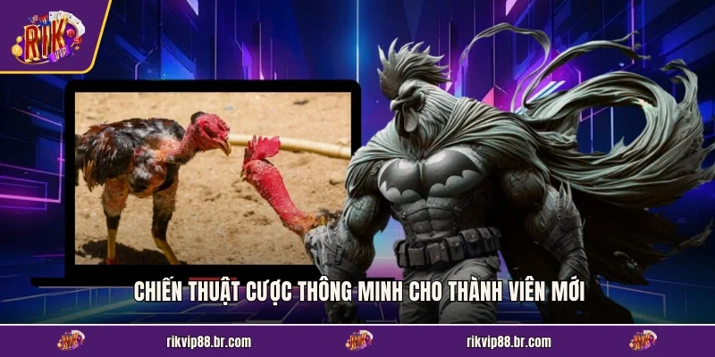 Chiến thuật cược thông minh cho thành viên mới