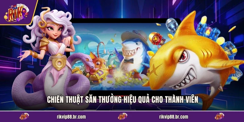 Chiến thuật săn thưởng hiệu quả cho thành viên