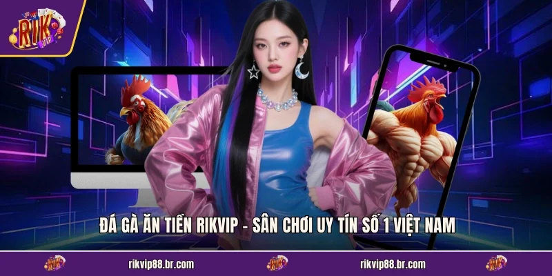Đá Gà Ăn Tiền RIKVIP - Sân Chơi Uy Tín Số 1 Việt Nam