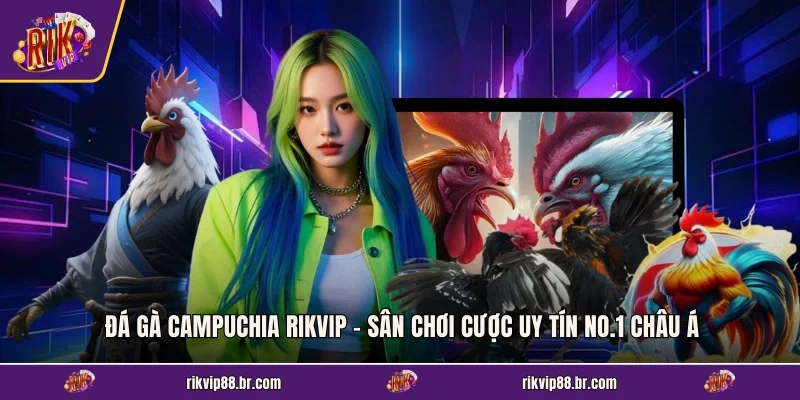 Đá Gà Campuchia RIKVIP - Sân Chơi Cược Uy Tín No.1 Châu Á