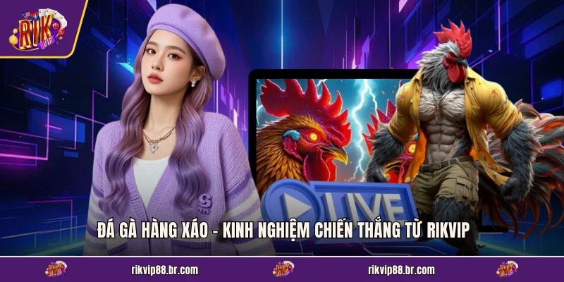 Đá Gà Hàng Xáo - Kinh Nghiệm Chiến Thắng Từ RIKVIP