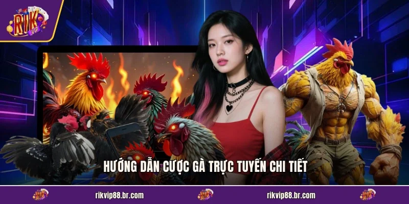 Hướng dẫn cược gà trực tuyến chi tiết
