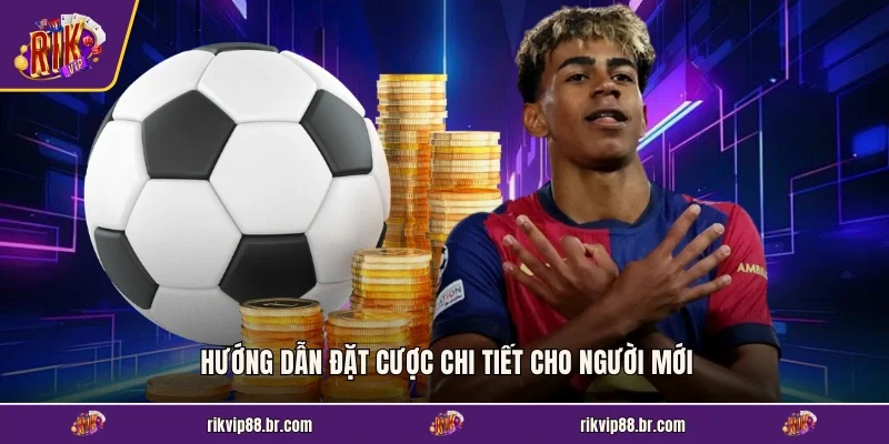 Hướng dẫn đặt cược chi tiết cho người mới