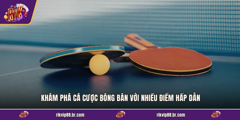 Khám phá cá cược bóng bàn với nhiều điểm hấp dẫn