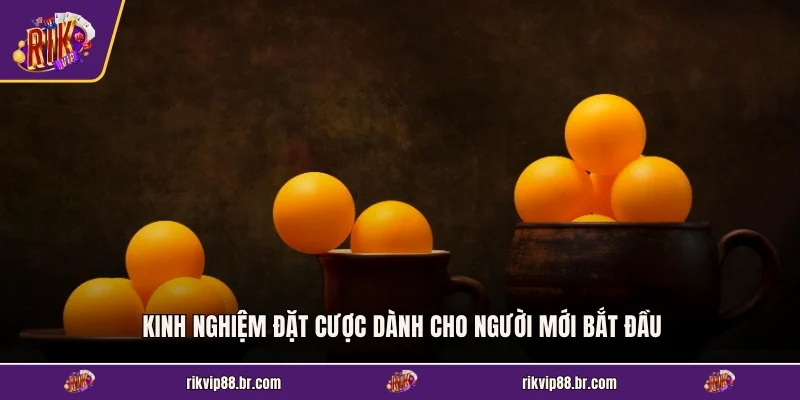 Kinh nghiệm đặt cược dành cho người mới bắt đầu