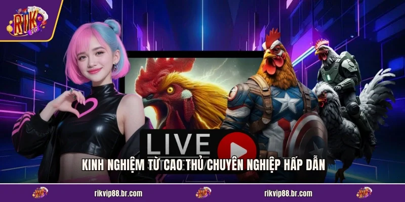 Kinh nghiệm từ cao thủ chuyên nghiệp hấp dẫn