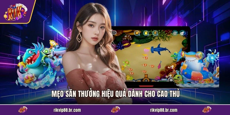 Mẹo săn thưởng hiệu quả dành cho cao thủ
