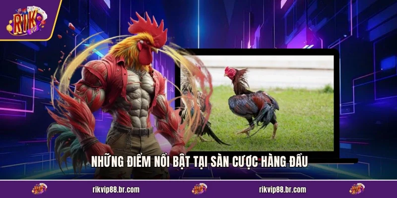 Những điểm nổi bật tại sàn cược hàng đầu