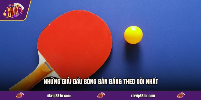 Những giải đấu bóng bàn đáng theo dõi nhất