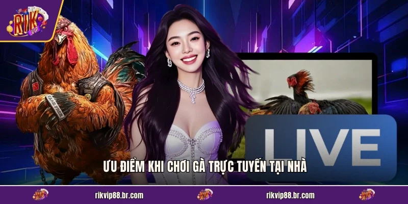 Ưu điểm khi chơi gà trực tuyến tại nhà